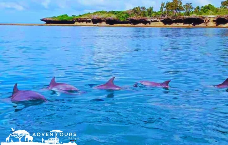 Wasini Island – Coral Garden Tour
