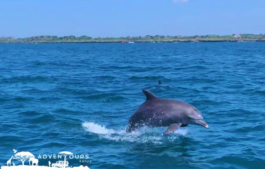 Wasini Island – Coral Garden Tour