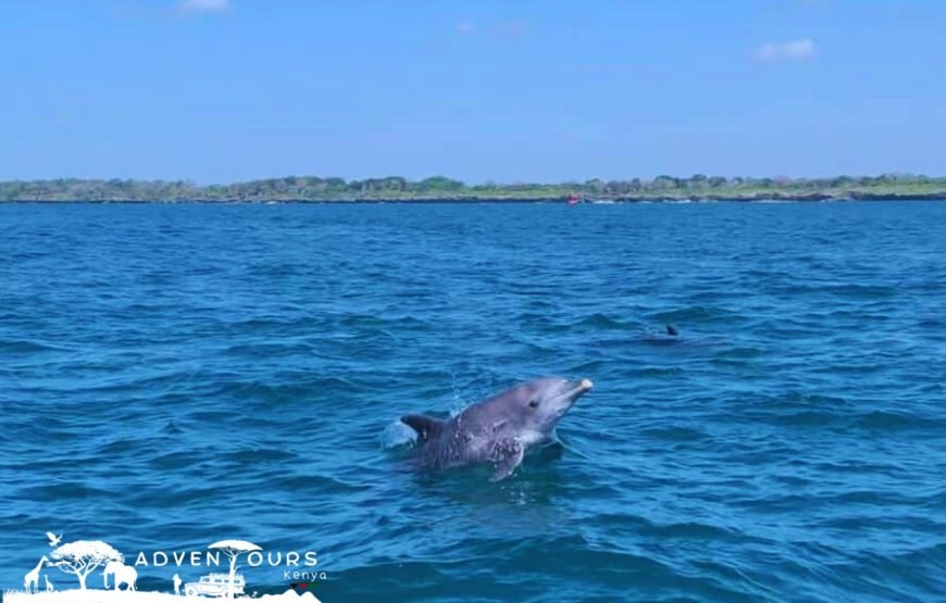 Wasini Island – Coral Garden Tour