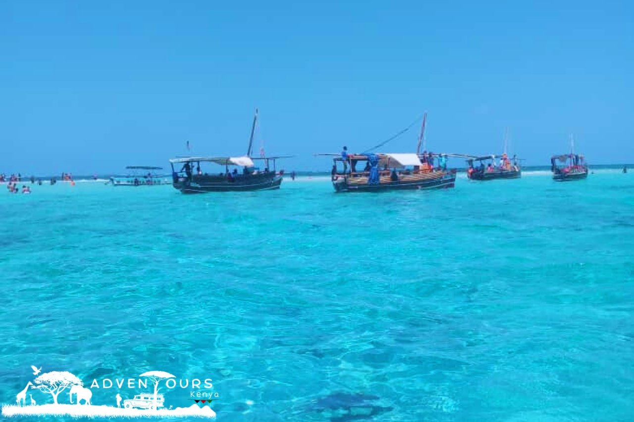 Wasini Island – Coral Garden Tour