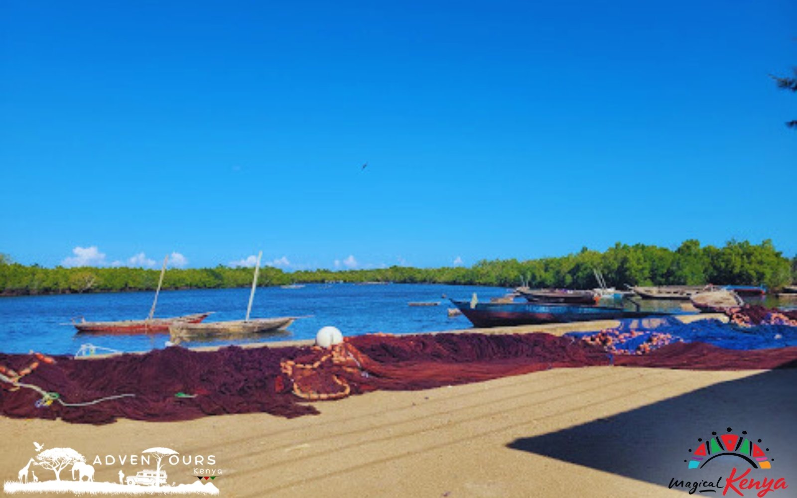 Wasini Island – Coral Garden Tour