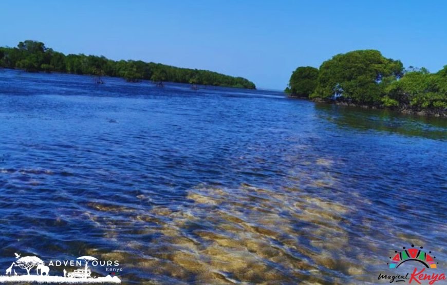 Wasini Island – Coral Garden Tour