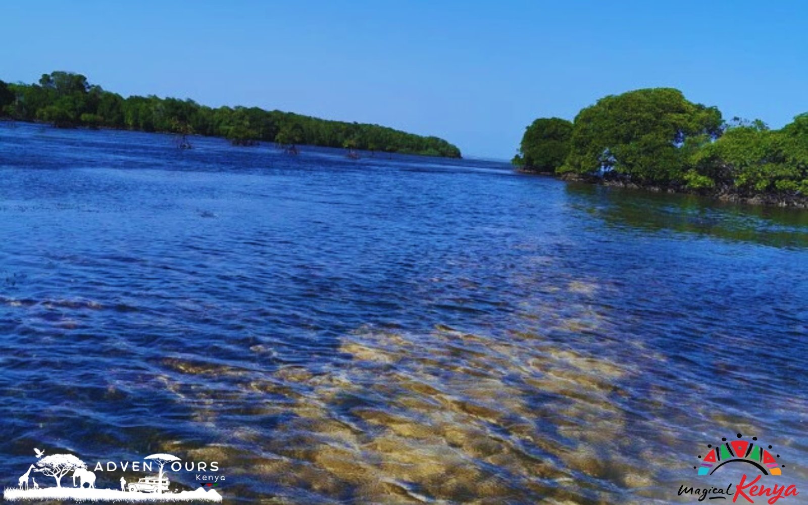 Wasini Island – Coral Garden Tour