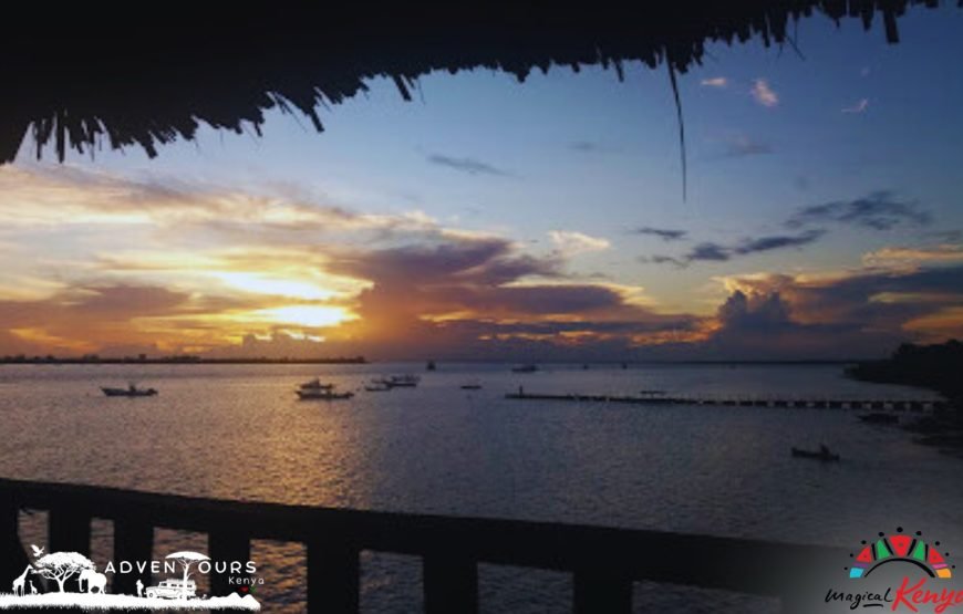 Wasini Island – Coral Garden Tour
