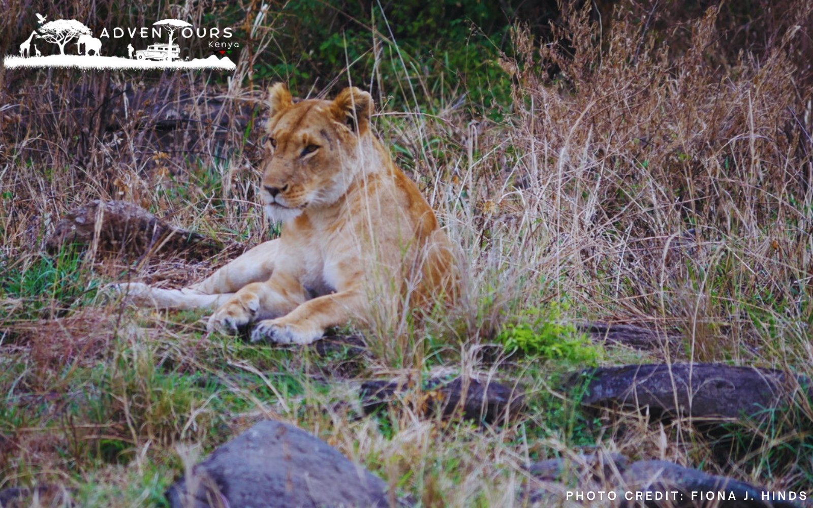 Day 1: Tsavo East Adventure