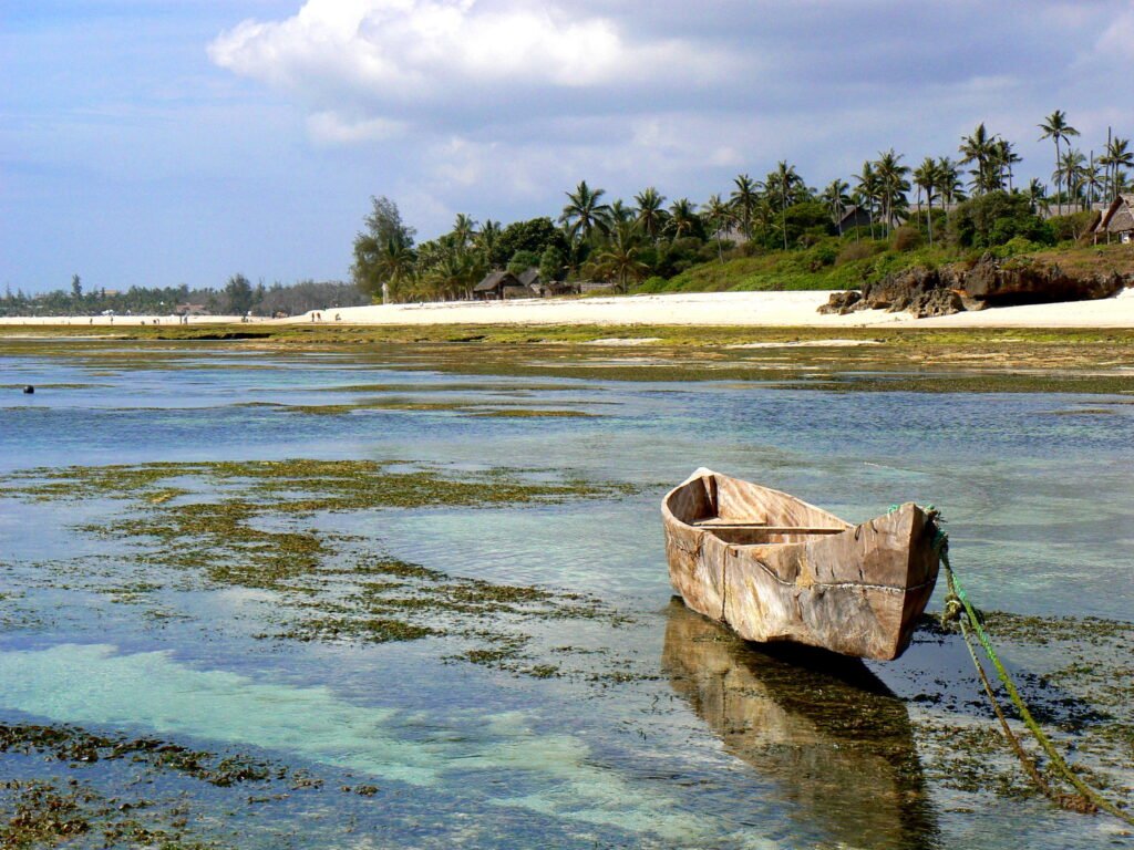tiwi-diani