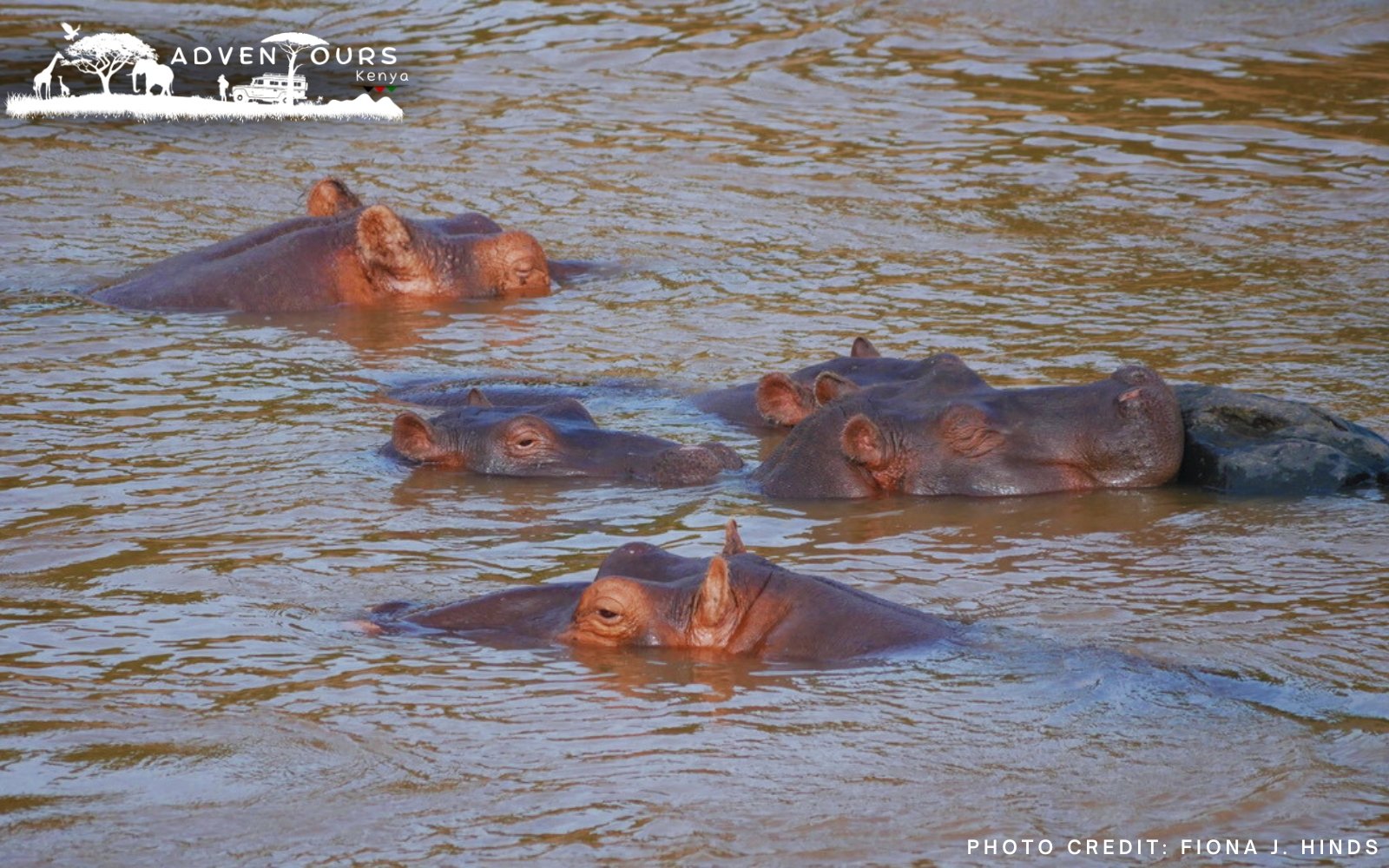 Day 2: Tsavo West 